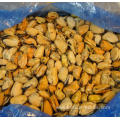 seafood frozen fresh iqf mussel meat Mytilus Edulis